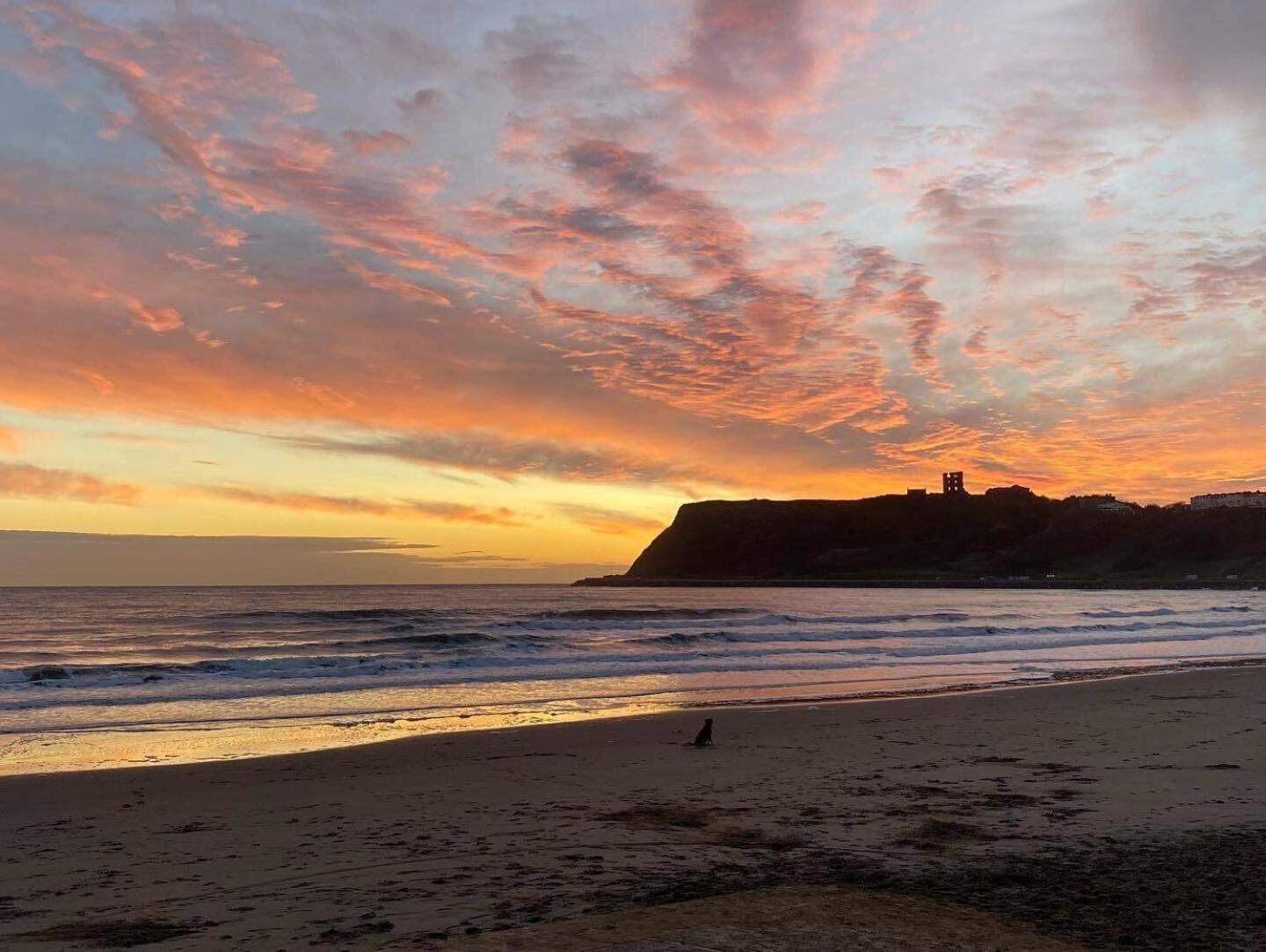Aparthotel Bay View - Amazing Location With Sea Views! à Scarborough Extérieur photo